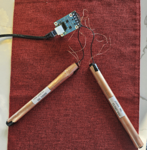 ferrite rod antennas with shielding